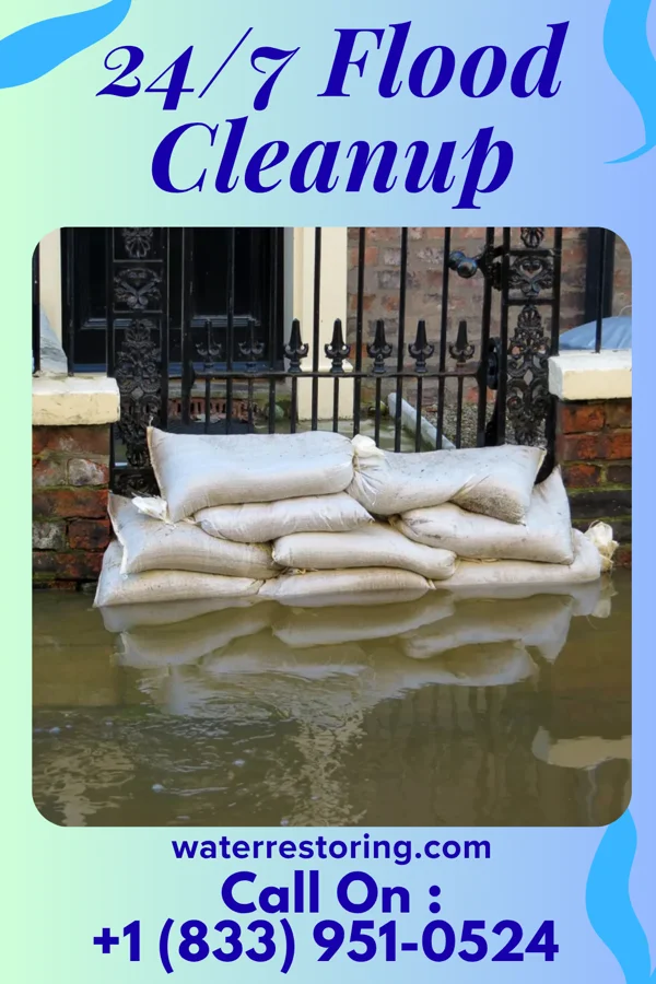 24/7 Flood Cleanup in Boykins, VA