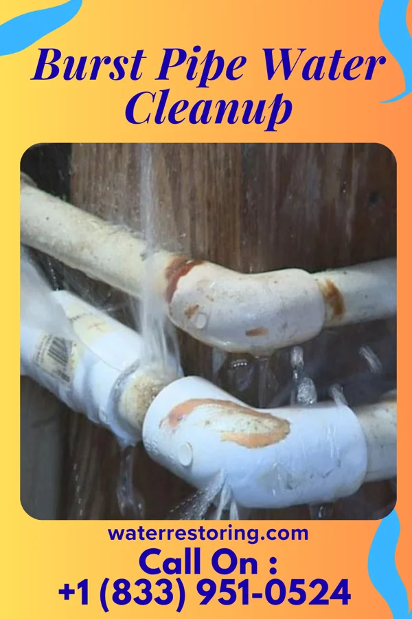 Burst Pipe Water Cleanup in Boykins, VA