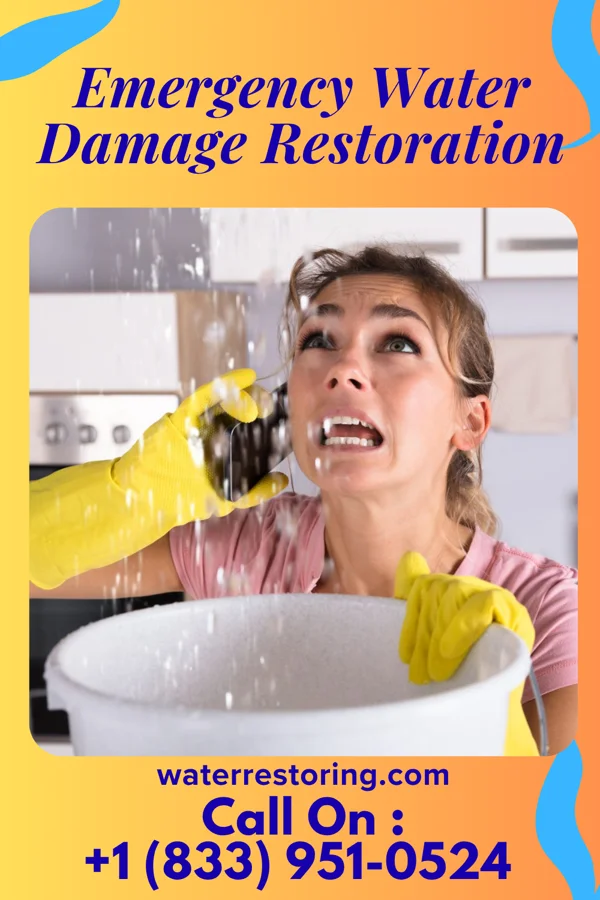 Emergency Water Damage Restoration in Boykins, VA