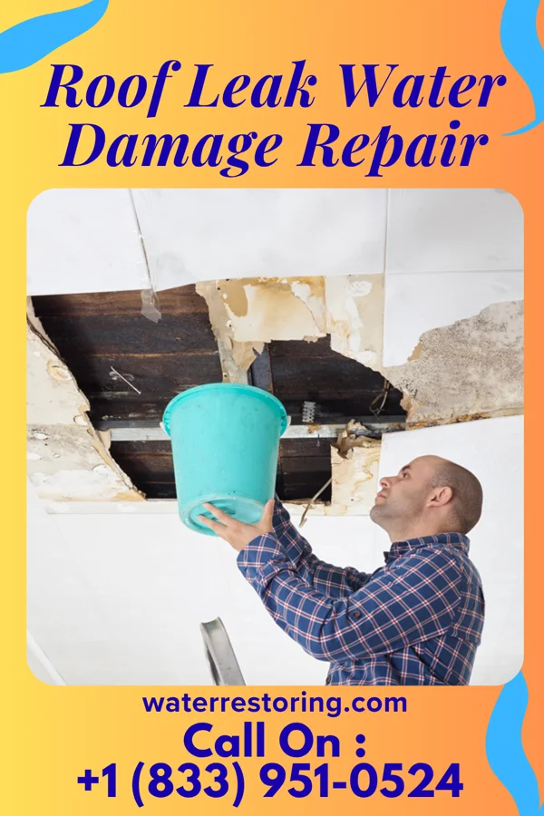 Roof Leak Water Damage Repair in Boykins, VA