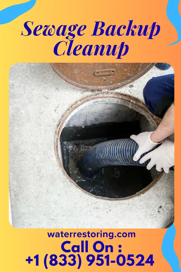Sewage Backup Cleanup in Boykins, VA