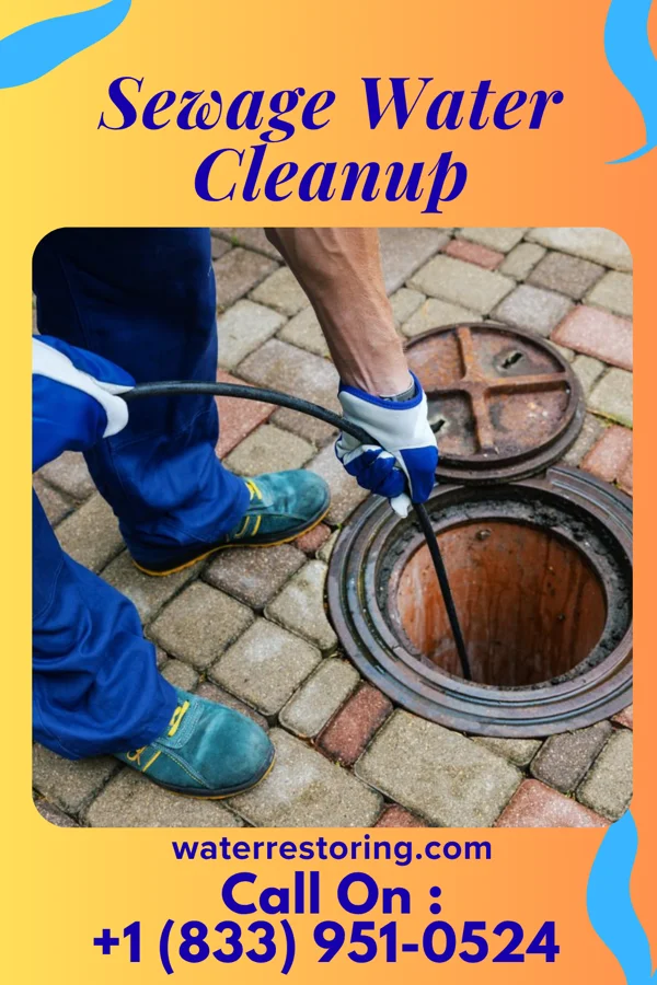 Sewage Water Cleanup in Boykins, VA